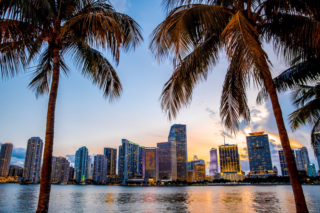 Image of Miami Skyline